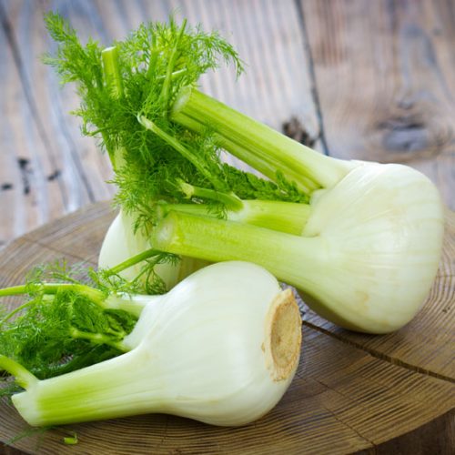 How to Grow Fennel